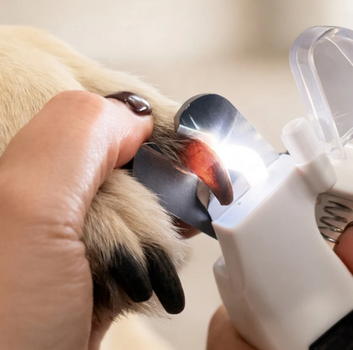 LED Nail Clipper & Nail Grinder